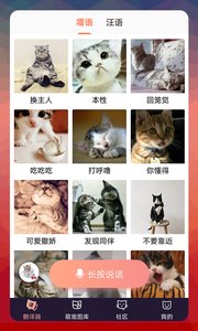 猫语翻译器安卓版宣传图1