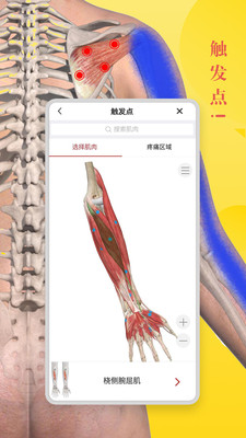 3dbody解剖学安卓版宣传图2