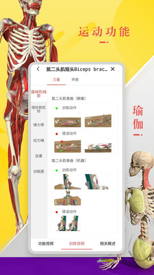 3dbody解剖学安卓版宣传图3