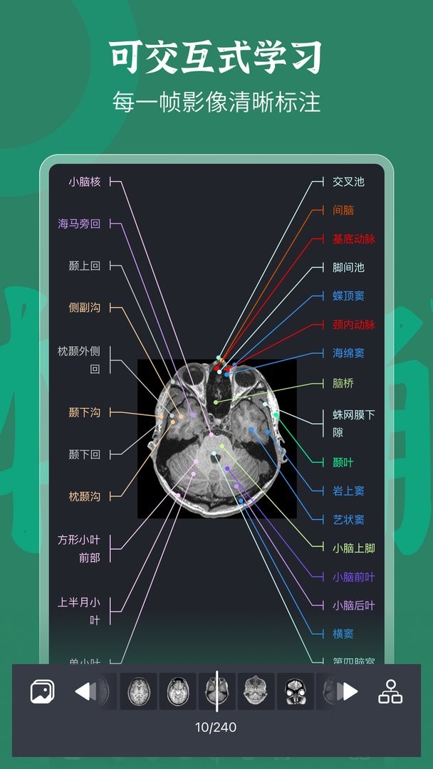 万康人体解剖免费版宣传图2